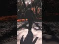 Nailing the park challenge