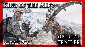 Alpine Ibex - King of the Alps - Official Trailer - 4K
