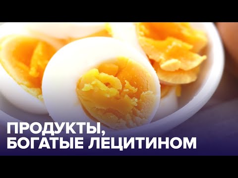 ТОП-5 продуктов, которые богаты ЛЕЦИТИНОМ