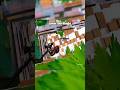 How To Get Cracked FAST In OG Fortnite