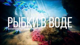 Video thumbnail of "Рыбки в воде | Russian Christian Kids Songs"