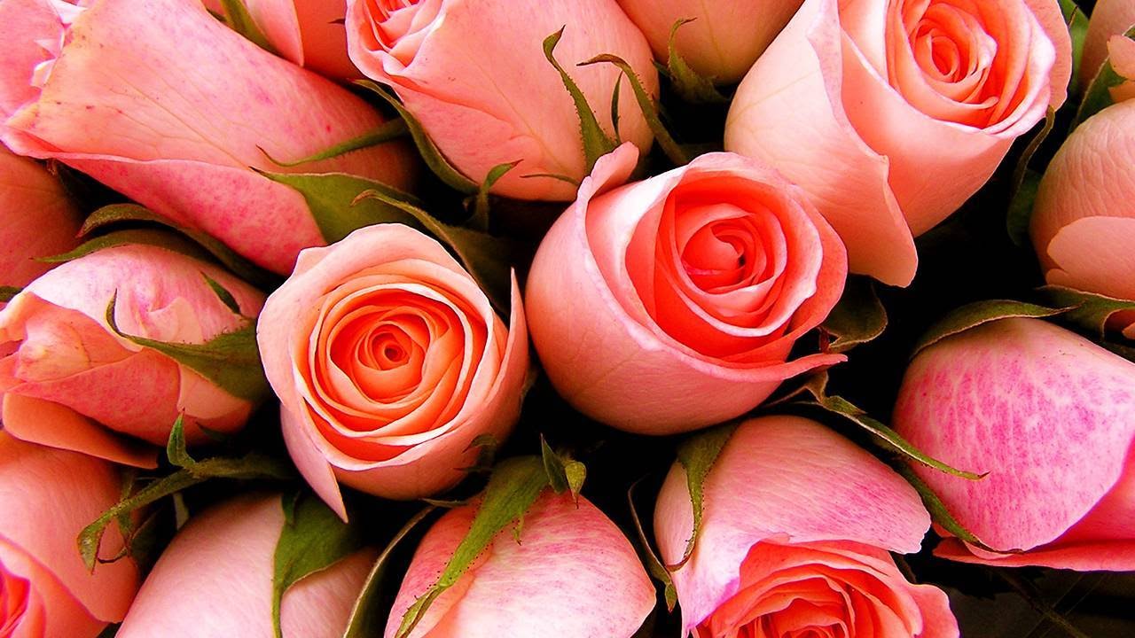 1-800-Flowers.com Looking for Sweet Valentine’s Day Sales