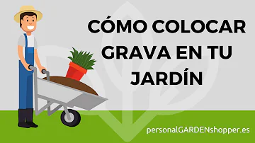 ¿Qué tipo de arena se usa en un jardín zen?