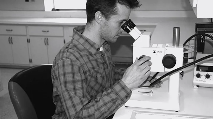 Forensic Entomologist Class Project