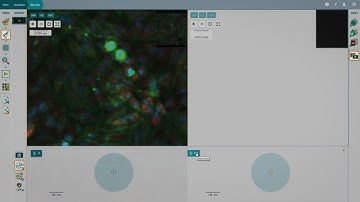 CellReporterXpress Software ImageXpress Nano System SettingUpFocus
