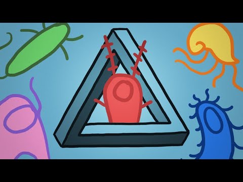 Парадокс планктона [Минутка Земли]