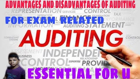 Advantages and disadvantages of auditing.