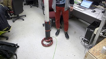 SEA Snake Climbing Gait