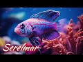 Ocean Dreams – Música Relaxante com Peixes Coloridos e Piano Suave para Meditação 🐠💫