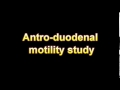 What Is The Definition Of Antro duodenal motility study Medical Dictionary Free Online