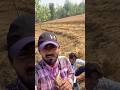 गेहूँ कटाई 😃😃 #shorts