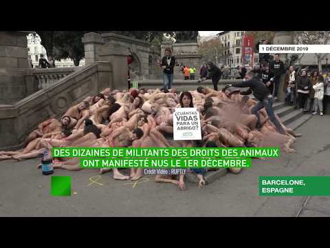 Vidéo: Des Militants Espagnols Des Droits Des Animaux Organisent Une Manifestation Nue