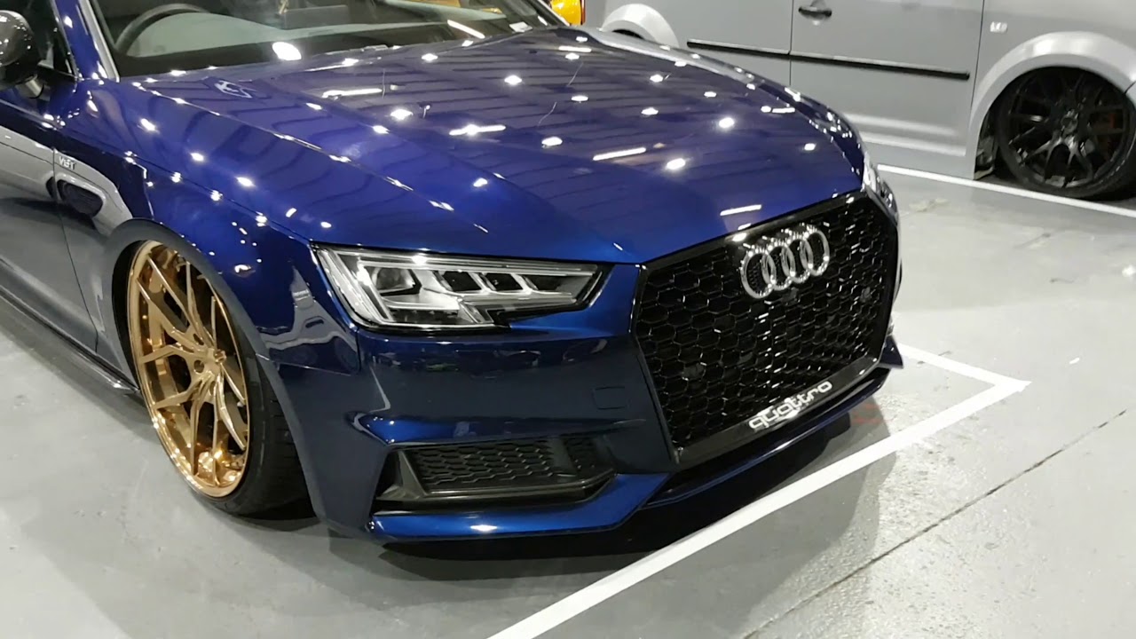 OnItsArse - Ultimate Dubs 2018