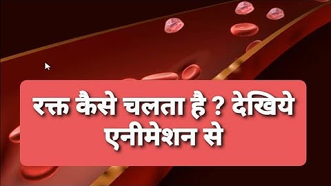 Tutorial- Animation character design | explained in Hindi |  #2danimation #flashtutorial