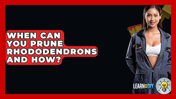 When Can You Prune Rhododendrons And How? - LearnToDIY360.com