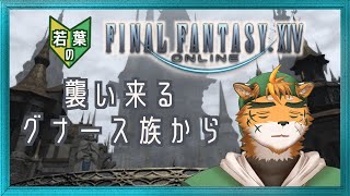 【若葉のFF14初見蒼天編】約1か月ぶりに降り立つイシュガルド【宍虎針一/ケモノ系VTuber】