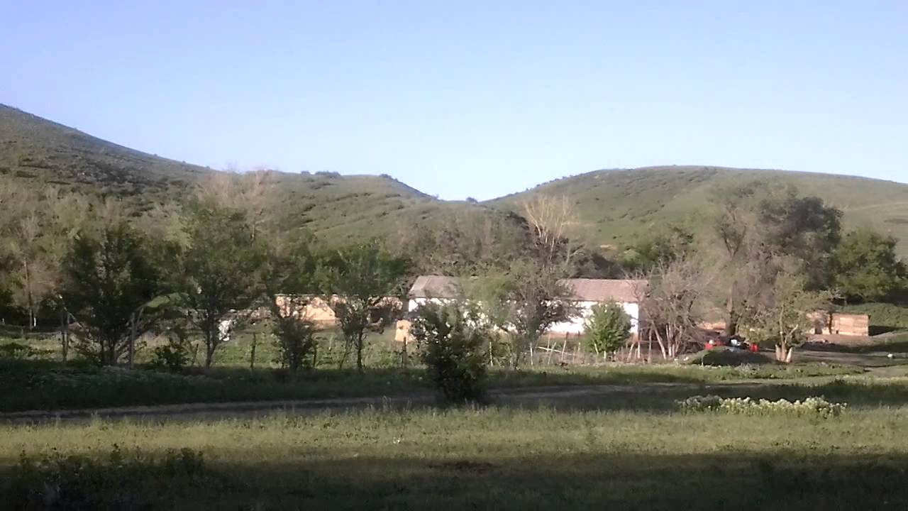 Кугалы казахстан село Кугалы казахстан село