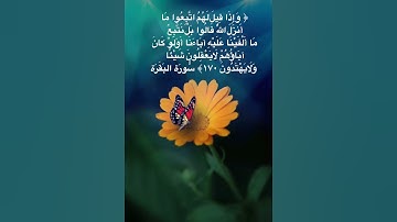 #خلفيات #دينية #سورة #البقرة #آية 170