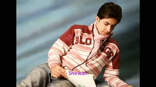 Shahzad Adeel Zhwandoon