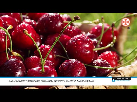 რა სასარგებლო თვისებები აქვს ბალს, ალუბალს, მსხალსა და ციტრუსებს?