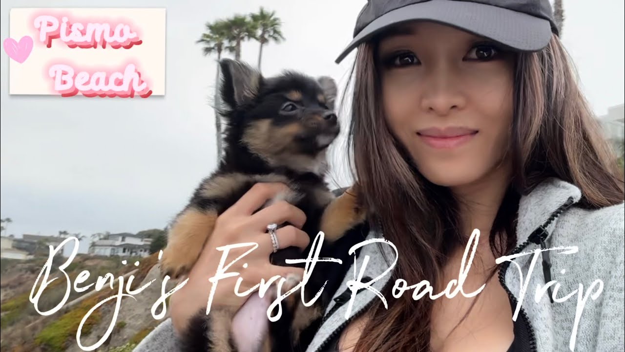 Benji’s First Dog-Friendly Adventures: Santa Barbara, Pismo Beach, San Simeon, Westlake Villlage