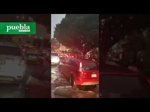 Segunda lluvia intensa en Puebla, deja árboles caídos, encharcamientos y autos varados