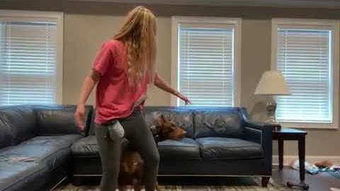 Riley Canouse, 10-Part Behavior Chain