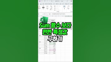sum함수 보다 더 편하게 ! 특정값만 구하는 법