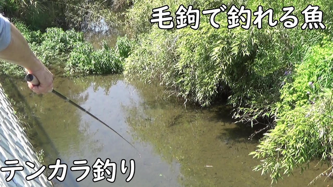 昔ながらの漁法が簡単で面白い