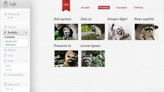 Tutoriel WordPress : Custom post type