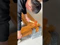 Assembling a Massive Bed with NO Nails or Screws! #woodworking #furniture #homedecor