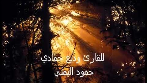 سورة الفجر | القارئ وديع اليمني