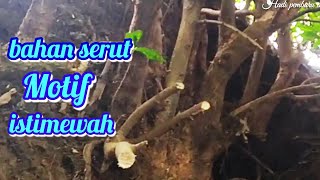 Berburu bahan bonsai serut super motif istimewah