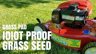 Fall is the Best Time for Overseeding Your Lawn