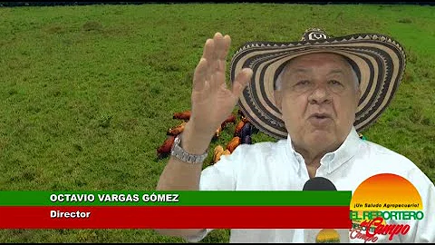 PROYECCIONES DE BANAGRARIO Y FINAGRO, Y FRANKLIN L...