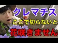 【正しい剪定】誰でもできるクレマチスの剪定方法を教えます。【切り戻し】【園芸】【ガーデニング】【新枝咲き】【旧枝咲き】【新旧両枝咲き】【新旧枝咲き】