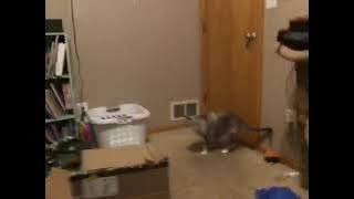 78355391640  D6526840 C678 4D6D 8043 B53D063DA5E6