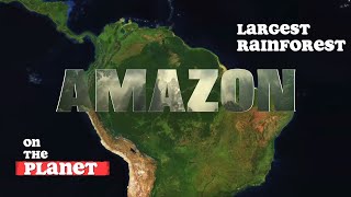 The Amazon Rainforest  Origin and Destiny