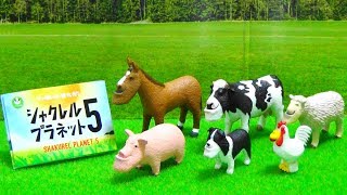 ガチャガチャ パンダの穴 シャクレルプラネット5 Capsule Toy PANDA'S ana　SHAKUREL PLANET 5　紹介