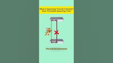 What Is Spanning Tree On A Switch?How To Enable Spanning Tree?@Spanning Tree@Switch