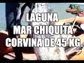 Corvina Negra Gigante (45 kG) pescada en laguna Mar Chiquita.