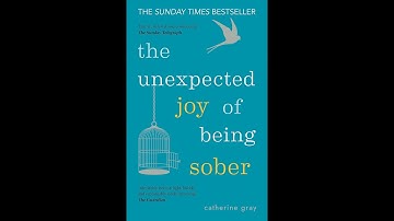 The Unexpected Joy of Being Sober - Book Overview