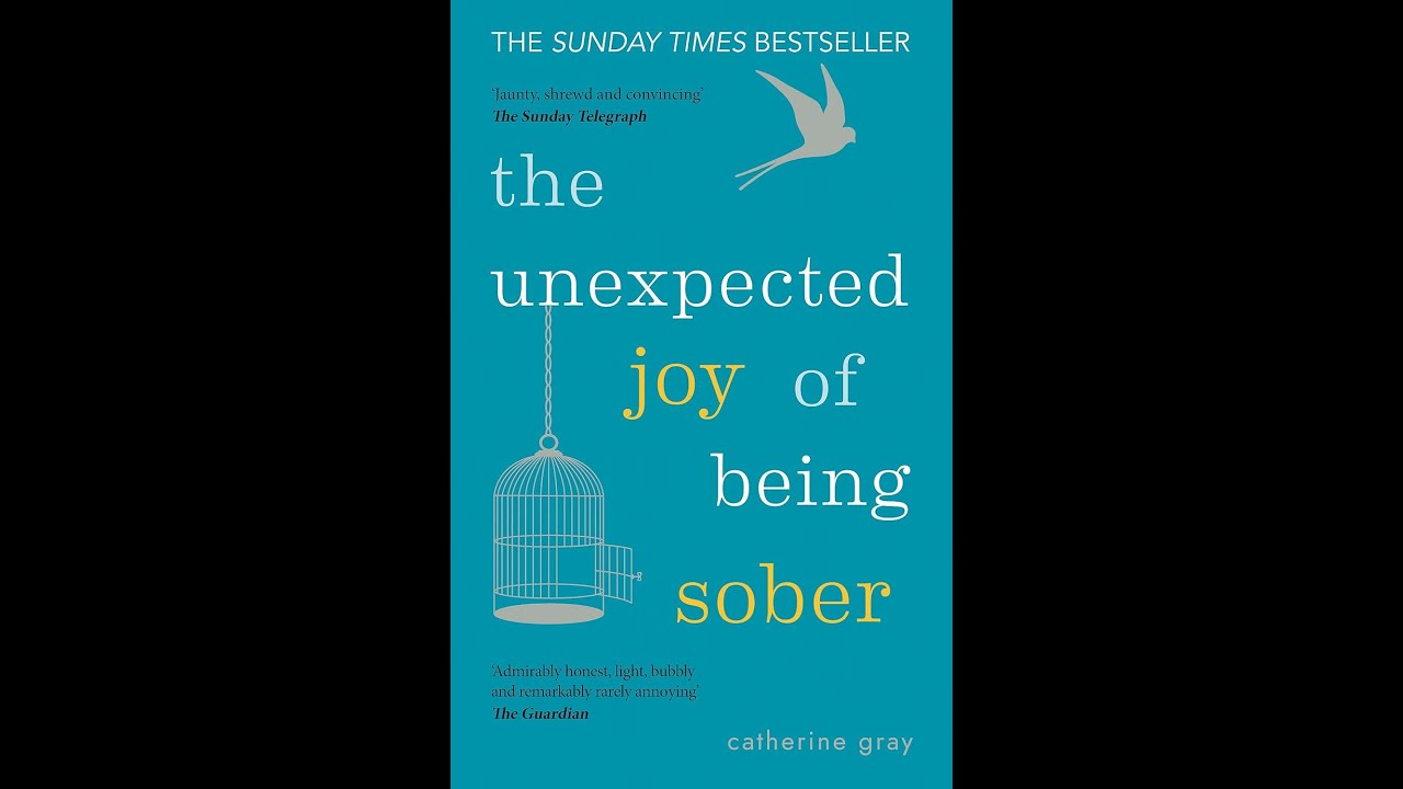 The Unexpected Joy of Being Sober - Book Overview