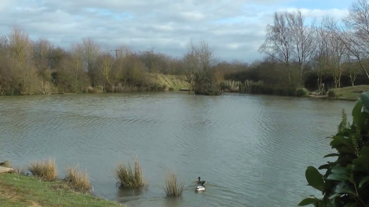 Bradley Fisheries 2017 YouTube