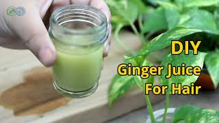 Apply Ginger Juice on Your Scalp to Regrow New hair &amp; Thick Hair   Double Hair Growth &amp; Long Hair.