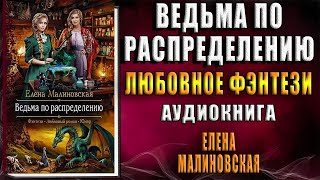 Ведьма по распределению. Книга 1. Злоключения ведьмочки (Елена Малиновская)