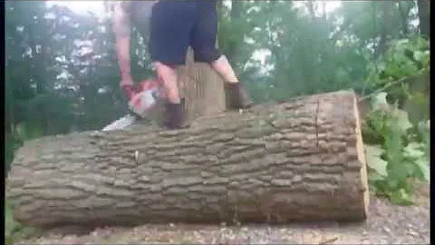 100% Oak wood couch - Log bench seating  cut from tree stump