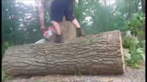 100% Oak wood couch - Log bench seating  cut from tree stump