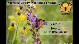 Volunteer Training Video 2: How to Enter Milkweed Density Field Data Online