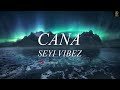 Seyi Vibez - Cana (Lyrics Video) | Lyric World